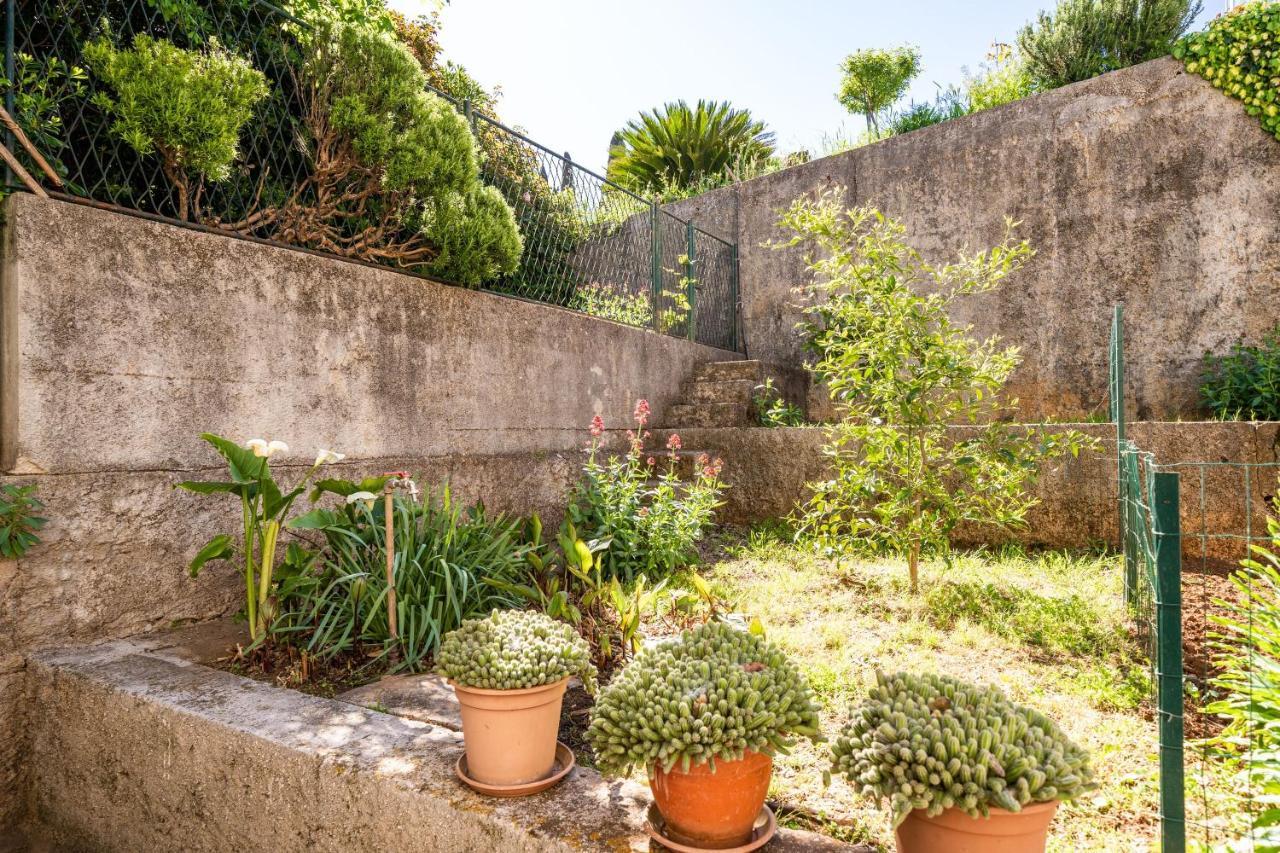 Apartment Kos Dubrovnik Exterior photo